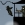 Ninja Ravage