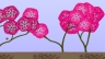 Plantjes kweken 2 Plantjes kweken 2