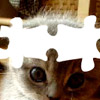 Jocuri Cute Cat Puzzle 2