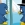 Pingüino Volleyball