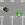 Snake 4