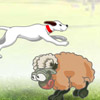 Sheep Jumper