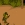 Hombre de la Jungla