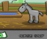 Horse Training