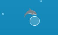 Nurkujący Delfin