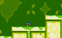 Sonic Xtreme 2
