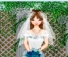 Veste a Princesa Noiva