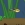 Fishy 11
