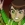 Ben10 Forever Defense