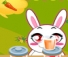 Rabbit Marathon