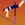 Hiper Salto
