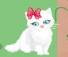 Novos Gatos de Eva