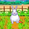 Verspielte Kaninchen Spiele