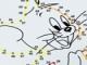 Dot to Dot Jerry