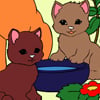 Colorează online: pisicuţe