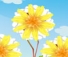 Magic Flower