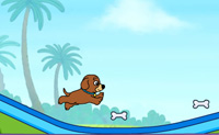 Aventura con Perrito Aventura con Perrito