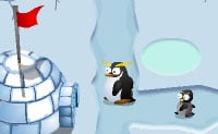 Pingvinkrig