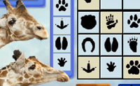 Animal Sudoku