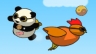 Panda op koekjesjacht