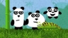 Drie panda's