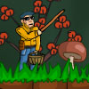 A caccia di funghi