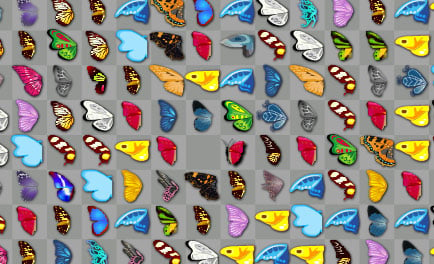 Schmetterlings-Kyodai