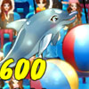 My dolphin Show 8 Games
