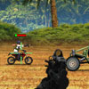 Jungle Armed Gateway Games
