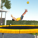 Flip Master