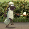 Sheep Chicken N Spoon Games
