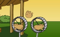 https://www.funnygames.co.uk/hamster-flying.htm