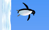 Pinguin Werfen 13
