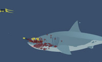 Tubarão Ataca
