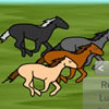 Horse Race Match Games