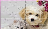 Puzzle cão
