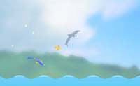 Salto de delfines 4