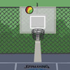 Basketball 13
