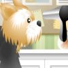 Pet-grooming Studio Games