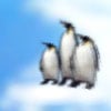 Tauchender Pinguin