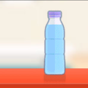 Bottle Flip Challenge