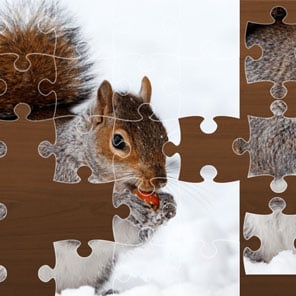 Jigsaw Puzzle Xmas