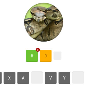 Animal Quiz