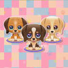Cute Puppy Care Games