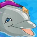 Mijn dolfijn show