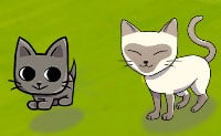 https://www.funnygames.co.uk/cat-safari.htm